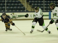 Great Hockey Shooting Technique!