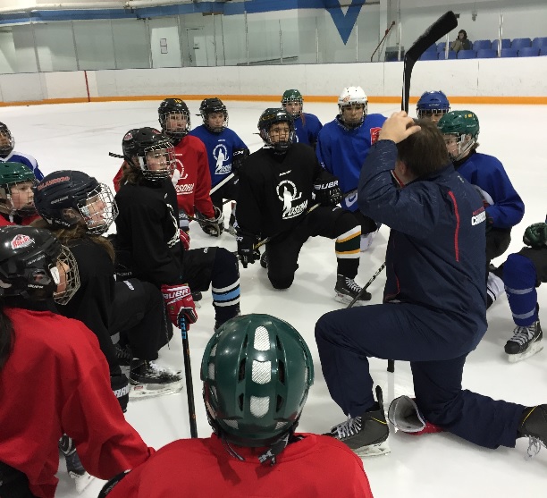 Working with Delta Wild Hockey Academy