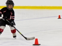 Long Term Hockey Player Development Model and It’s Importance