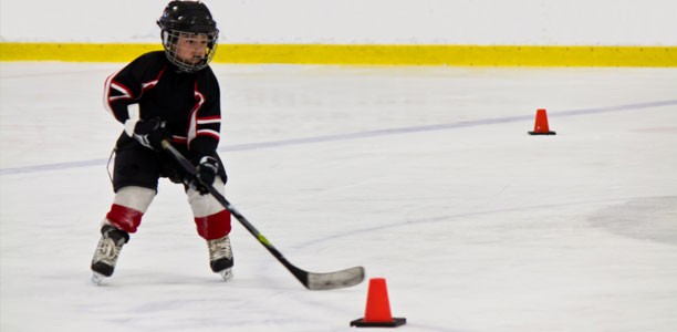 Long Term Hockey Player Development Model and It’s Importance