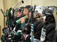 Hockey Coaches – Help Your Team Bounce Back from a Loss