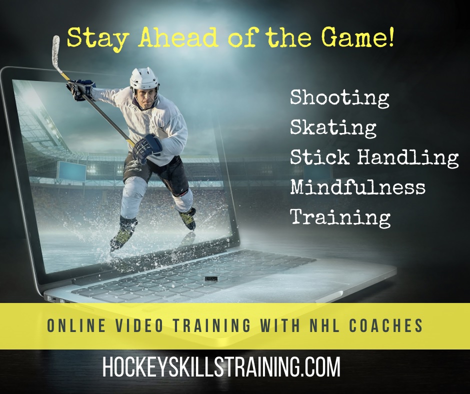 Testimonials  McLean Hockey Training