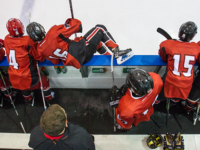Role of a Youth Hockey Team Trainer
