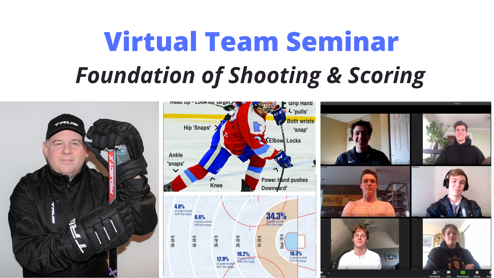 Virtual Team Seminars