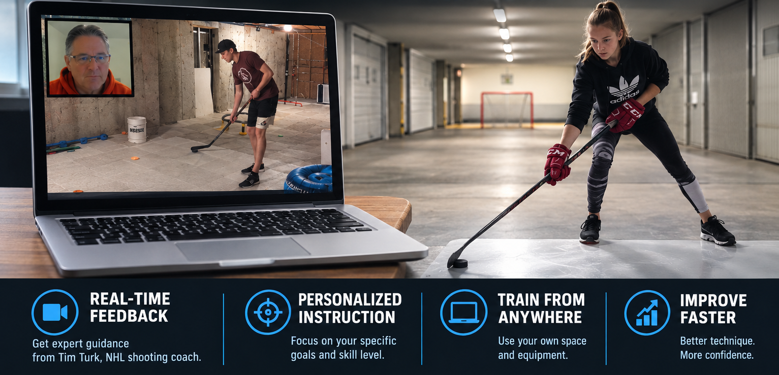 Virtual Lessons